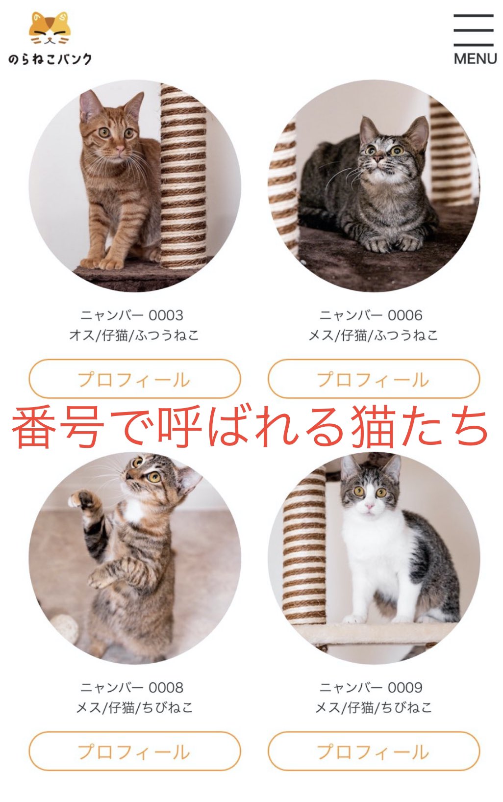 ねこページです♡ D-介 on X: 