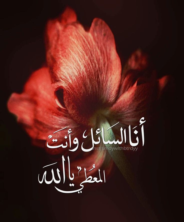 القوه بالله...  والعون منه...  والأمان معه
و كل مخاوف الدنيا..لا تساوي شيئا
عند التوكل عليه....