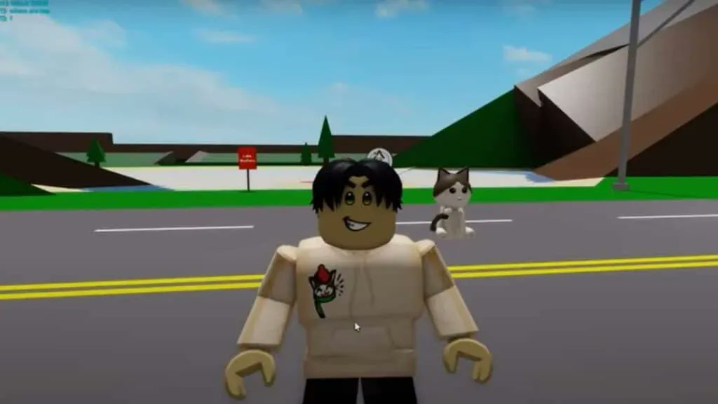 The Nerd Stash on X: Roblox Brookhaven Codes February 2023 #guide