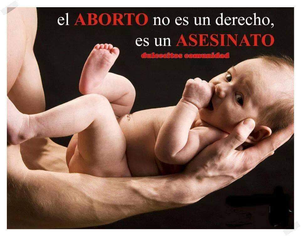 bernabeu_soler's tweet photo. https://t.co/epsgydqOp1