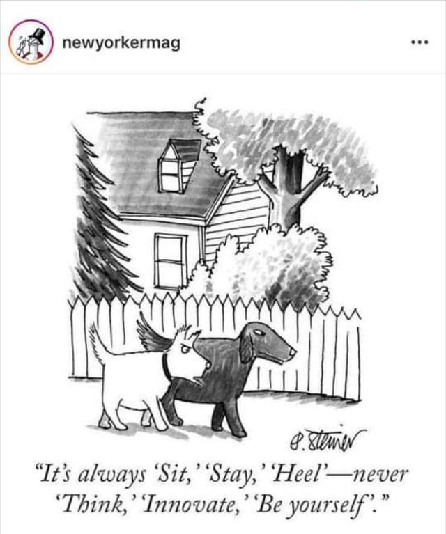 There is a lesson for education in this cartoon. @HumResPro