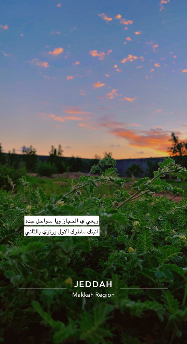 n_i911i's tweet photo. ربعي ي الحجاز ويا سواحل جده
انبتك ماطرك الاول ورتوي بالثاني https://t.co/qoO4FqBFOe