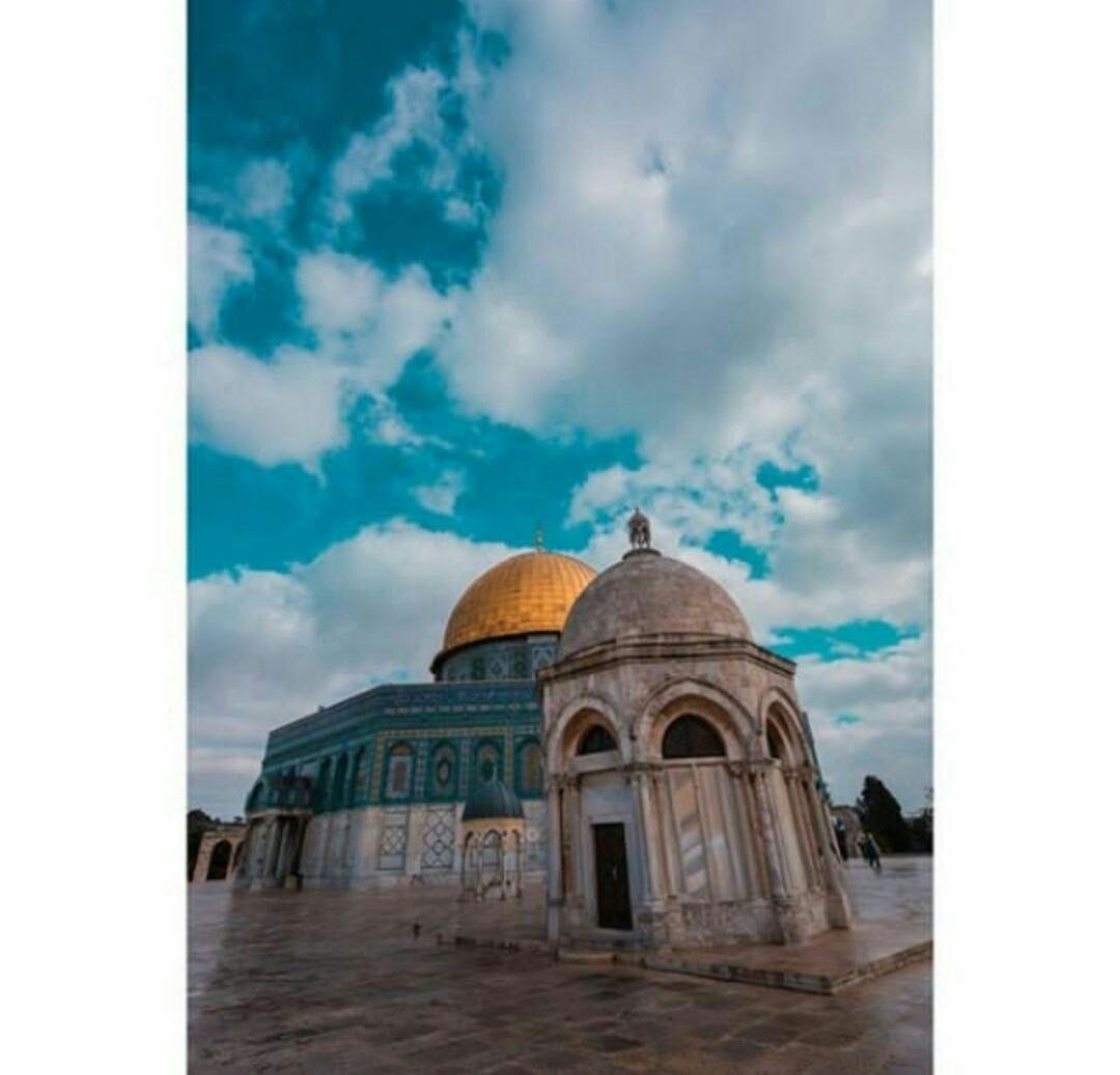 ••
هذه الأرض لا تتسّع لهويتين وفي كلَّ يومٍ نُجددَّ عهدنا لكِ أنتِ لنا وإنا إليكِ راجعون 🇵🇸💚
#الأقصى_في_خطر 
#اغضب_للاقصى