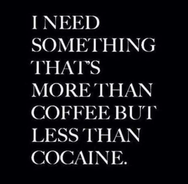 AskAubry 🦋 🐆🦝 tweet media