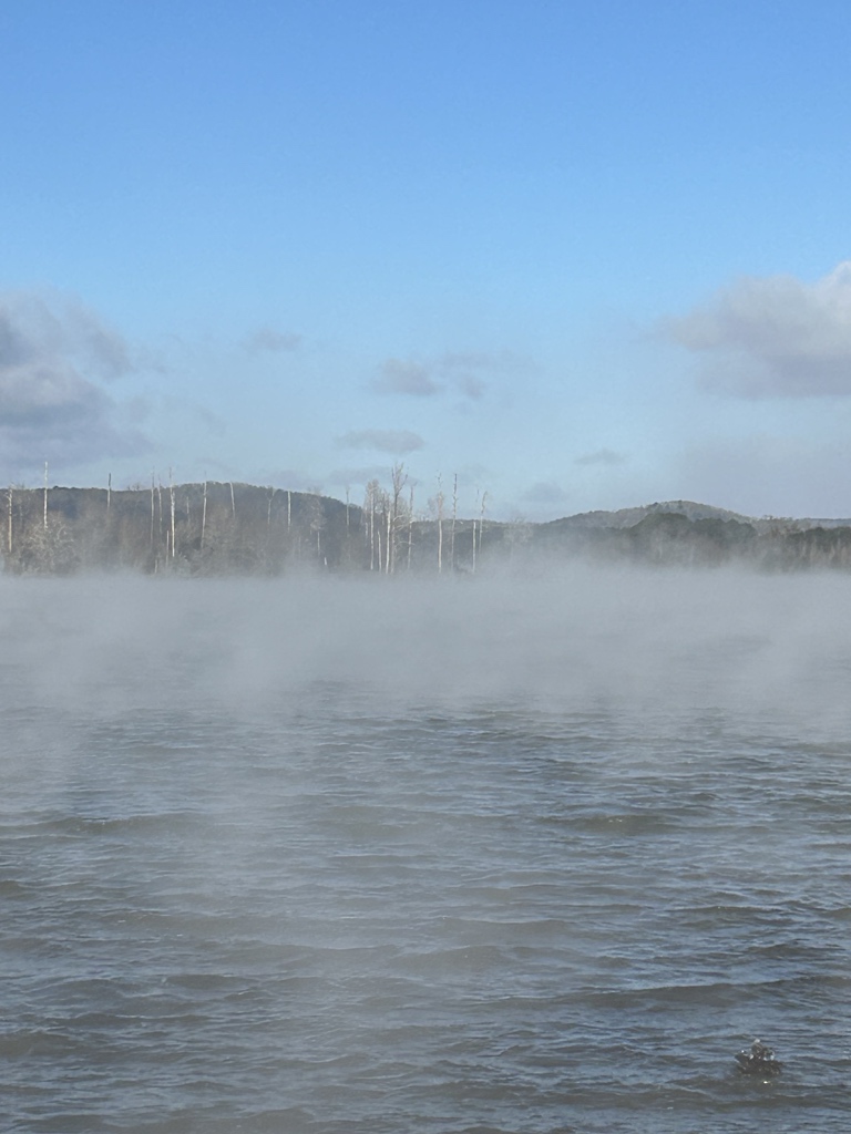 26RyanC's tweet photo. @spann smoke-like look on Lake Guntersville this morning. https://t.co/bk5H1yrWFf