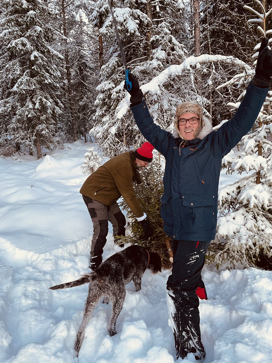 My Christmas is more Christmassy than your Christmas. Part one: where I’m staying and me cutting down this year’s tree from the back garden.