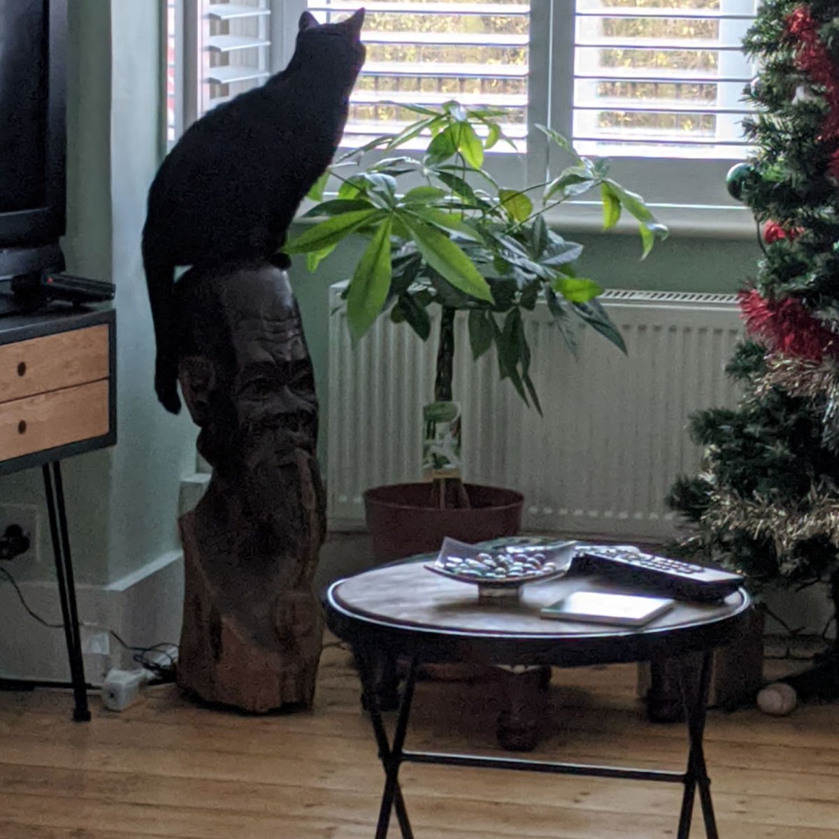 Emmanuelle Marshall
Hours
Xmas Eve 10am-3pm (24th)
Xmas Day Closed (25th)
Boxing Day Closed (26th)
Tues 27th December BH Closed
Weds 28th Dec 10am-5pm
Thurs 29th Dec 10am-5pm
Frid 30th Dec 10am-5pm
Sat 31st Dec 10am-3pm
Back to normal hours
Tuesday to Saturday 10am-5pm