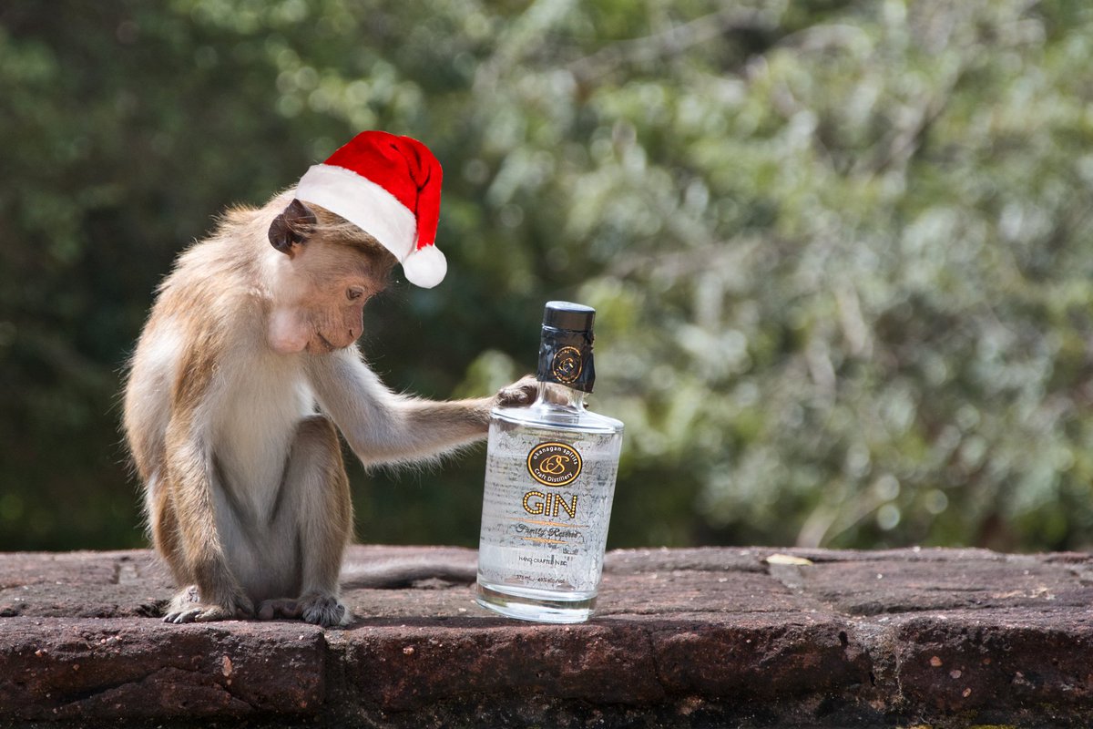 OkanaganSpirits's tweet photo. Hand crafted for the most discerning holiday shopper.

https://t.co/V80naQTcOR

#familyreservegin #gintonic #GandT #okanaganspirits #applegin #glutenfree #BCcraft https://t.co/jKYumEX0dl