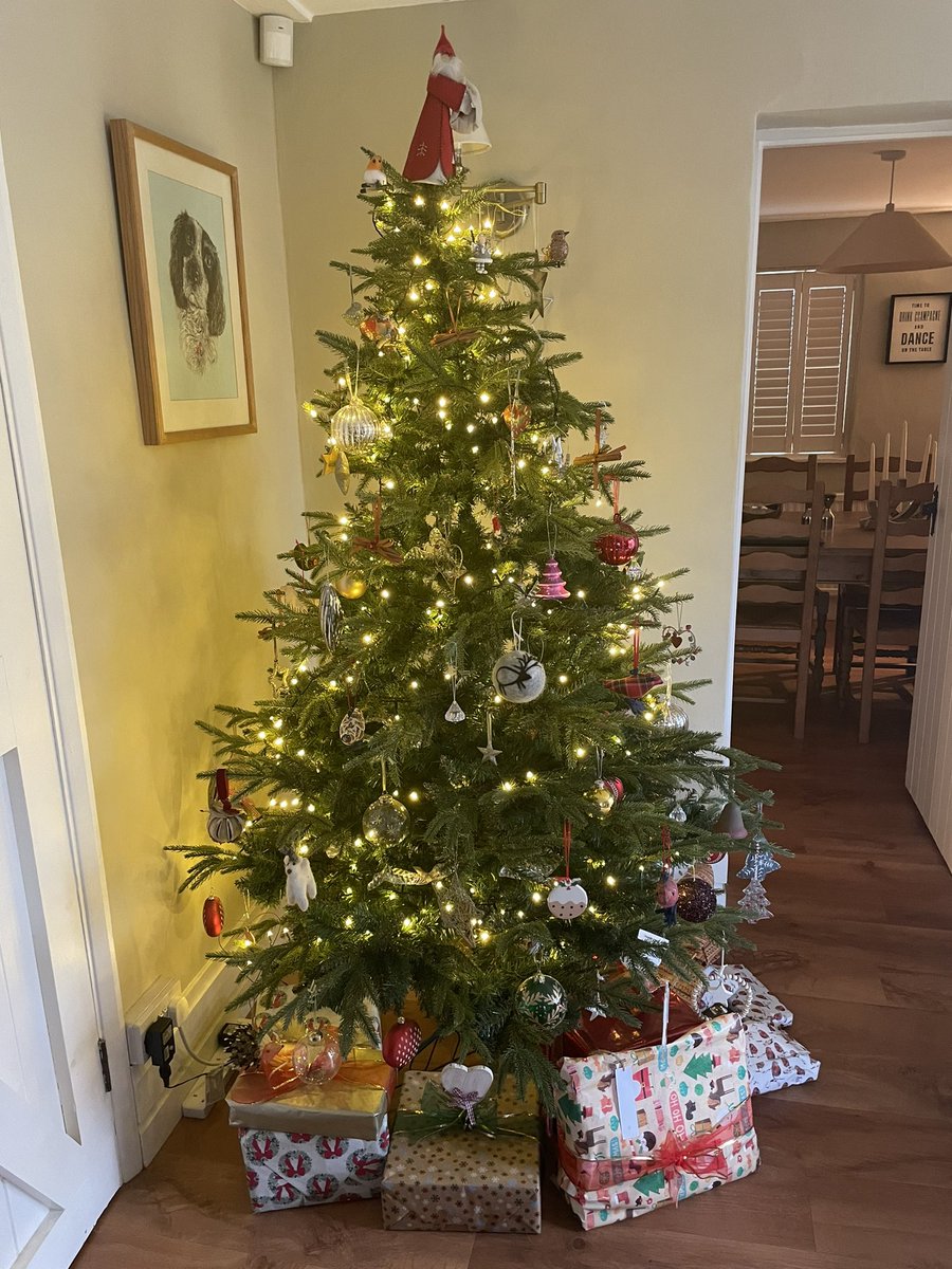 Auntlizziesays's tweet photo. @williamhanson I know you won’t approve of Father Christmas on top but I think our tree is 👌🏼 #pickytree https://t.co/b45jdQt6al