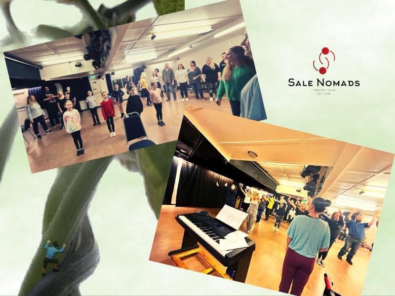 We have been rehearsing for for our next production of Jack &amp; the Beanstalk &amp; it’s looking epic.
Tickets are on sale now &amp; it is the BEST way to welcome the new year.
Click the link below for more show dates, cast info &amp; tickets 🎟️ 
See you there ❗️

salenomads.org.uk/upcoming/jack/