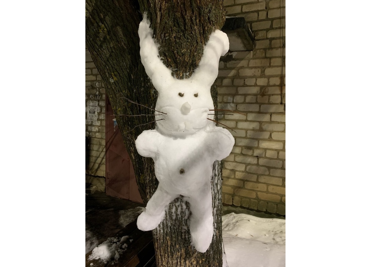 Заяц на зайца из снега