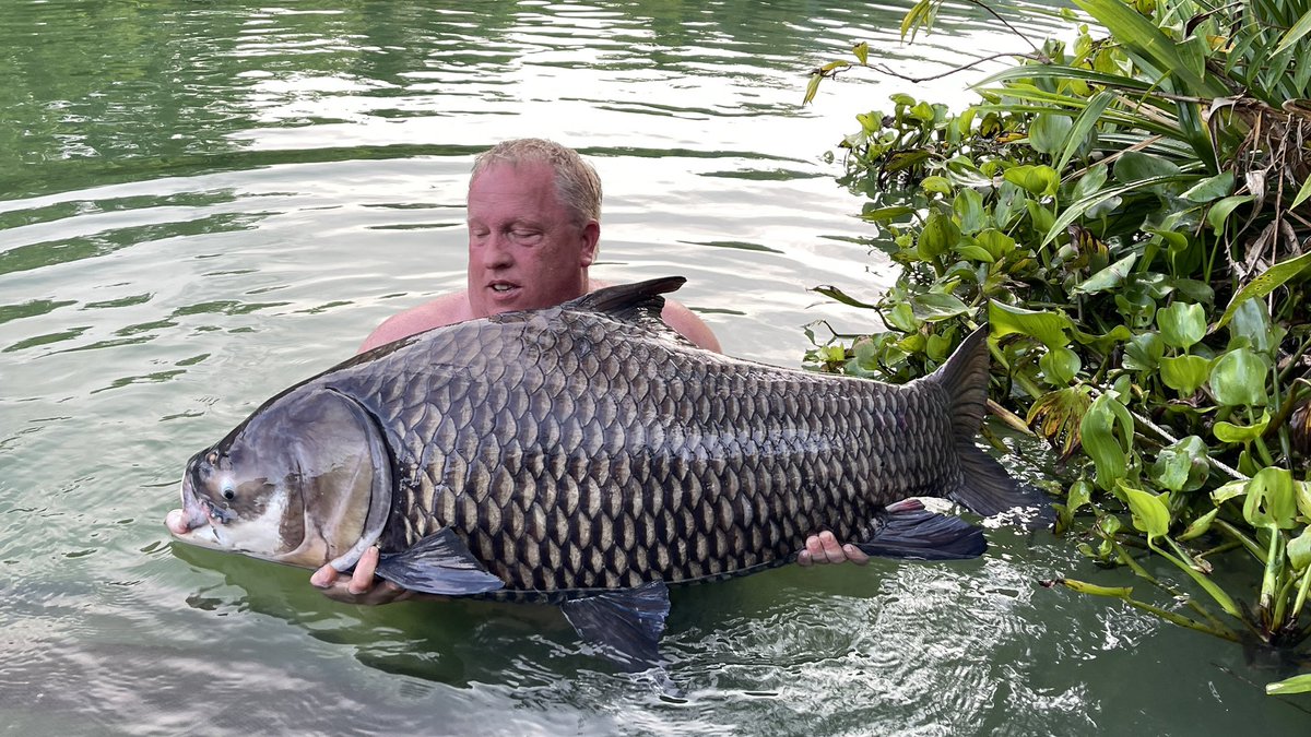 Patience pays off <a href="/GillhamsFishing/">Gillhams fishing</a> <a href="/RoyalFishClub1/">Royal Fish Club</a> <a href="/Asfishing/">ALLSEASONS FISHING</a> <a href="/hogg_dawn/">Dawn Hogg 🎣🎣</a>