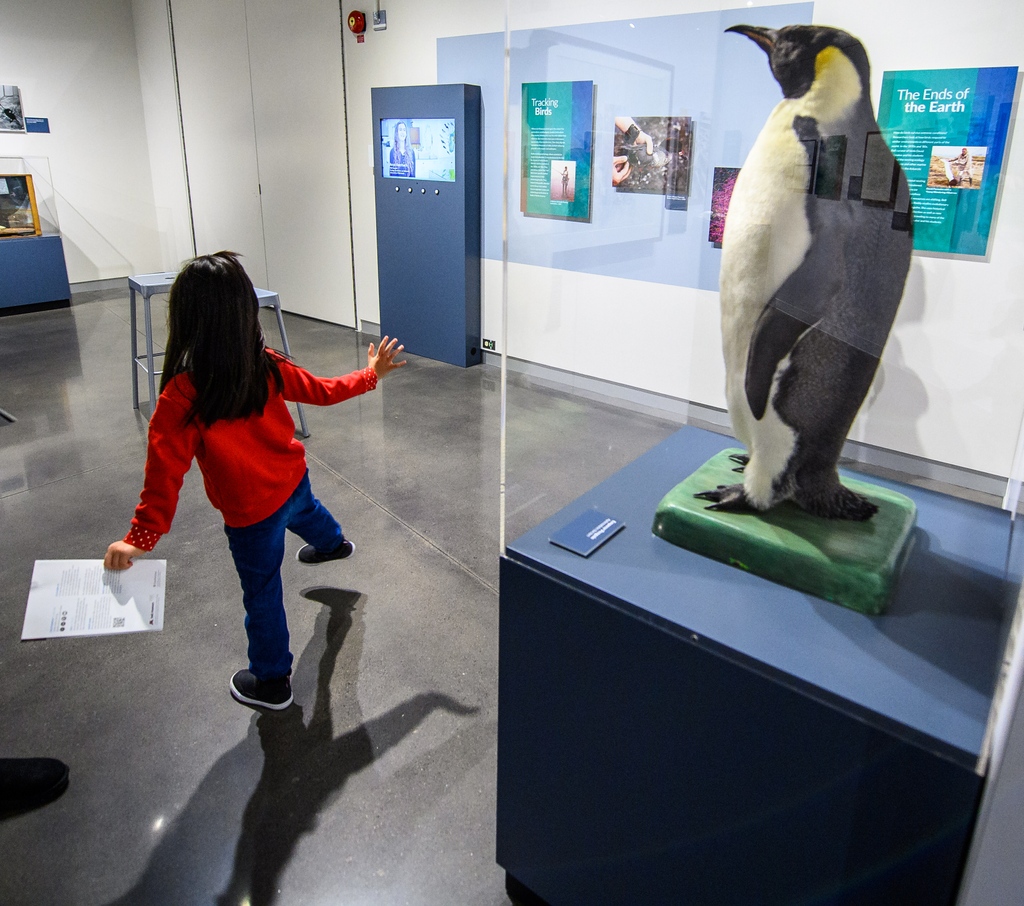 JoeSzPhoto's tweet photo. Day 23 of my month-long look back at some favorite photos from 2022 goes to the Bell Museum in St Paul, MN, where a young visitor does her best penguin walk.
#penguin #penguins #penguinwalk #naturalhistory #naturalhistorymuseum #bellmuseum #impersonation #animalmimicry #photoaday https://t.co/daujHGcfII