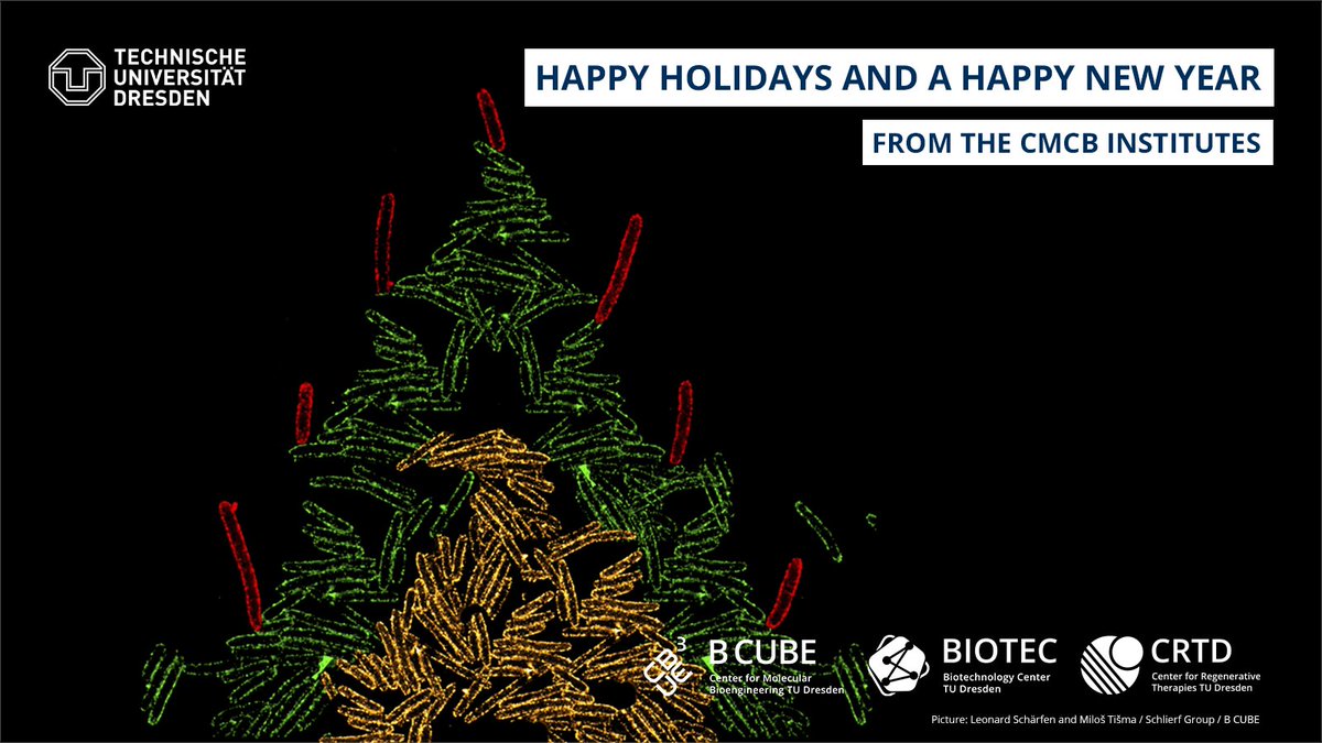 The <a href="/BCUBE_TUDresden/">B CUBE - Center for Molecular Bioengineering</a>, <a href="/BIOTEC_TUD/">Biotechnology Center (BIOTEC) of TU Dresden</a>, and <a href="/CRTDpress/">CRTD</a> <a href="/tudresden_de/">TU Dresden</a> wish you a wonderful holiday season! 🎄 
We hope you can take a break, breathe, and unwind. We look forward to another year filled with amazing science!

We'll see you all in 2️⃣0️⃣2️⃣3️⃣!