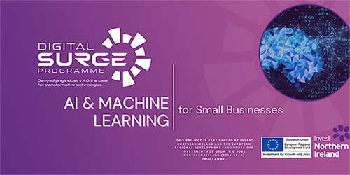 nibusinessinfo's tweet image. Thinking about a new focus for your business in the New Year? Register now for a series of online digital transformation events in early 2023 with @SurgeProgramme &gt;&gt;
@InvestNI @belfastcc @CCAGBusiness @Invest_LCCC @NMDBusiness @CBI_NI @IoDNI @NIChamber
nibusinessinfo.co.uk/content/digita…