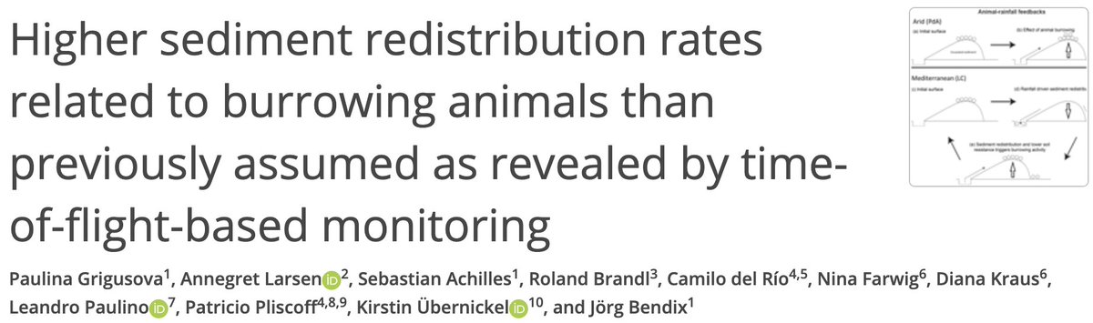 What do you know about the impact of burrowing animals on sediment redistribution? Check out the new work by <a href="/grigusova/">Paulina Grigusova</a> <a href="/AnnegretLarsen/">Dr Annegret Larsen</a> <a href="/uekiri1/">Kirstin</a> <a href="/lechilebras/">Leandro Paulino</a> and coauthors! 🗞️🌎🐁🦊🏞️‼️ <a href="/dfg_public/">DFG public | @dfg_public@wisskomm.social</a>
doi.org/10.5194/esurf-…