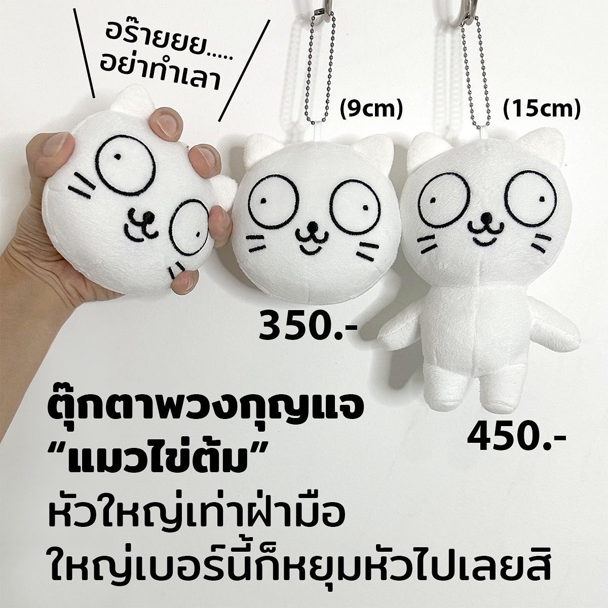 แมวไข่ต้ม tweet media