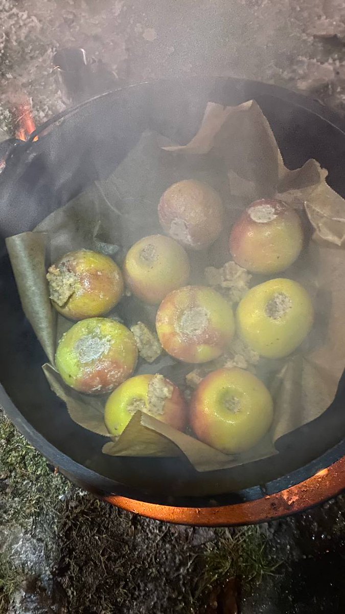 DPSG St. Ludwig tweet media