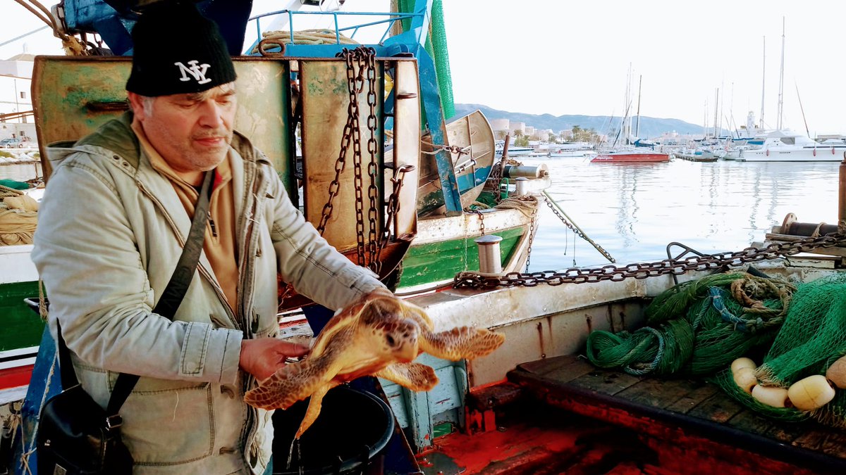 Un grande GRAZIE ai pescatori che ci aiutano a salvare le splendide Caretta Caretta <3 

#tartarughemarine #carettacaretta #pesca #pescatori