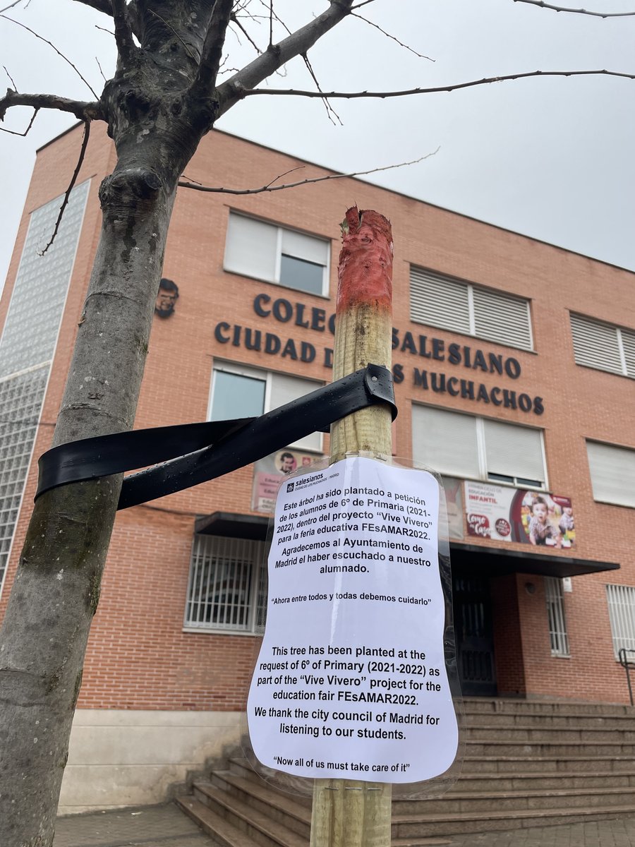 ciudaddelosmuch's tweet photo. 16 de diciembre el ayuntamiento @MADRID plantó el árbol que el alumnado de 6º EP  (21-22) en el  proyecto “Vive Vivero” para la feria educativa FEsAMAR2022 habían solicitado recuperar, hace algunos años se había cortado. Gracias #AbrimosCaminos  #serdelacitymola @SalesianosSSM https://t.co/Y7ZF1nzbZy