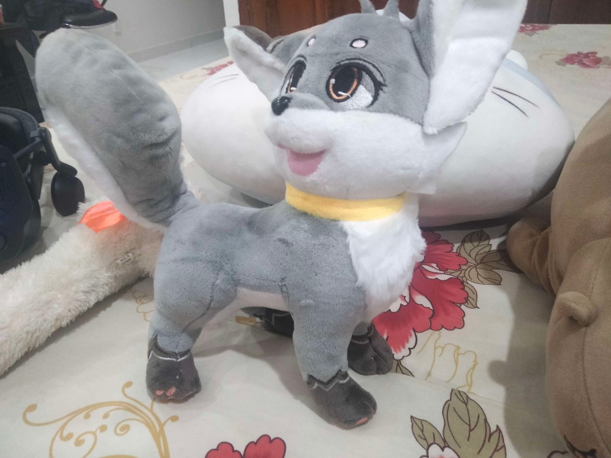 Scodreys tweet media