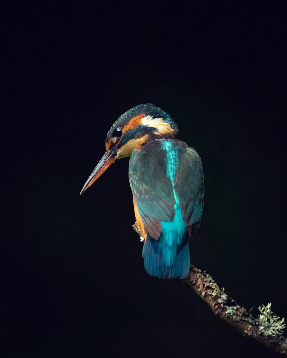 Craig Abbott tweet media