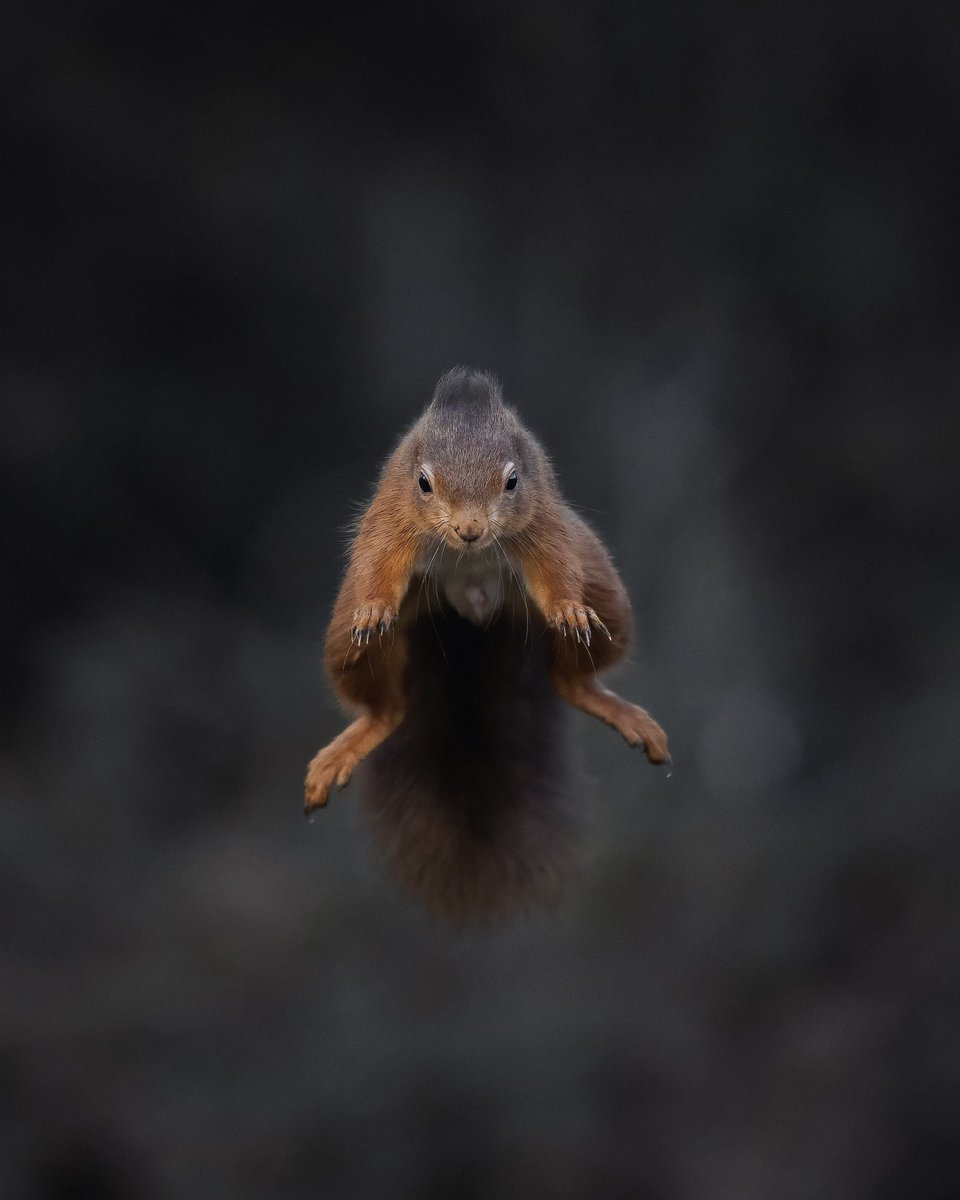 Craig Abbott tweet media