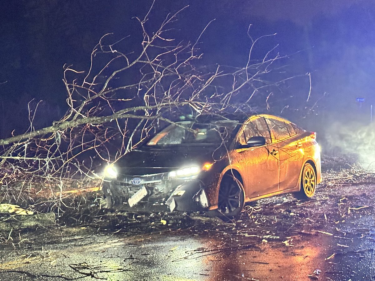 sjforman138's tweet photo. Car hit a downed tree in Wakefield on the Lynnfield line. The driver said she didn’t see it and escape injury. #boston https://t.co/sfMLGjs6zS