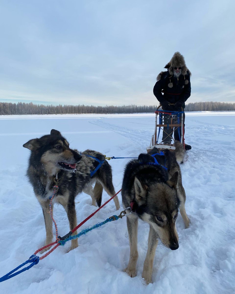 William Hardie (@william_hardie) on Twitter photo Hope you enjoyed our Alaskan adventure as much as <a href="/MrGeorgeClarke/">George Clarke</a> and I did. What a wild and beautiful place… #Alaska #amazingspaces #adventure #coldweather <a href="/Channel4/">Channel 4</a> <a href="/plumpictures/">Plum Pictures</a> <a href="/GCAmazingSpaces/">Amazing Spaces</a> Hope you enjoyed our Alaskan adventure as much as <a href="/MrGeorgeClarke/">George Clarke</a> and I did. What a wild and beautiful place… #Alaska #amazingspaces #adventure #coldweather <a href="/Channel4/">Channel 4</a> <a href="/plumpictures/">Plum Pictures</a> <a href="/GCAmazingSpaces/">Amazing Spaces</a>