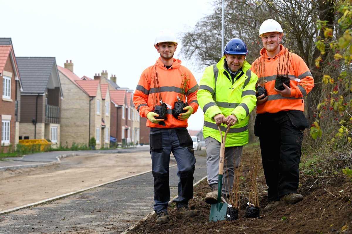 We were thrilled to recently receive a donation of trees from Bryson and @CarbonAcademy, which we planted with @4thCornerltd at our Olney Gates development. Read more: lioncourthomes.com/news-post/5-st… #biodiversity #treeplanting #olney