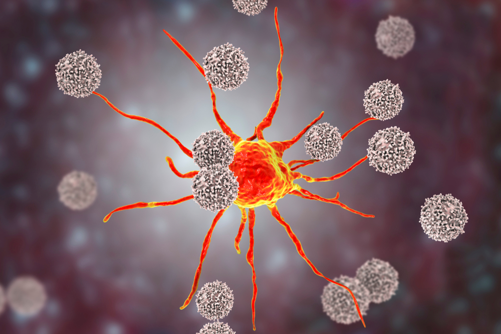 CPT_2023's tweet photo. New #CancerPathogenesisAndTherapy review takes a closer look at #Tlymphocytes, their activation, differentiation, and response against #tumor and evaluates strategies targeting tumor pathogenesis for guiding #cancer #immunotherapy. 
Read more:
https://t.co/QYOTtsPSfO https://t.co/8XuQIf6Cye