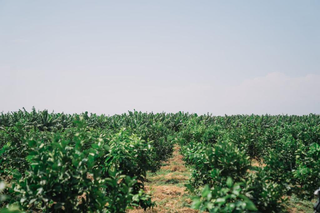 Awugchew12 tweet picture