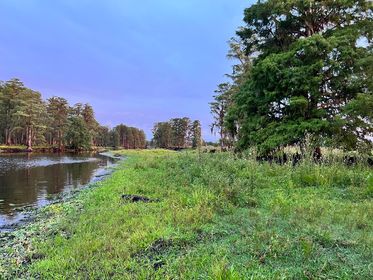 HighCoSheriff's tweet photo. Good Morning, Highlands County!

I arise in the morning torn between a desire to improve the world and a desire to enjoy the world. This makes it hard to plan the day.”— E.B. White

Photo by Rocky Shoffner

#GoodMorningHighlandsCounty #highlandscountyfl #whywelivehere https://t.co/KFLybhUnbQ