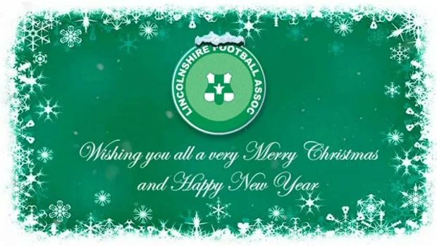 Lincolnshire FA tweet media