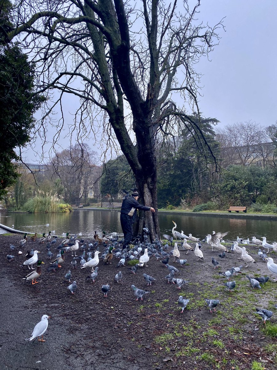 Sammm_J's tweet photo. Home Alone 2 vibes in Herbert Park this morning ✨🎄 https://t.co/dkK8hX79Ii