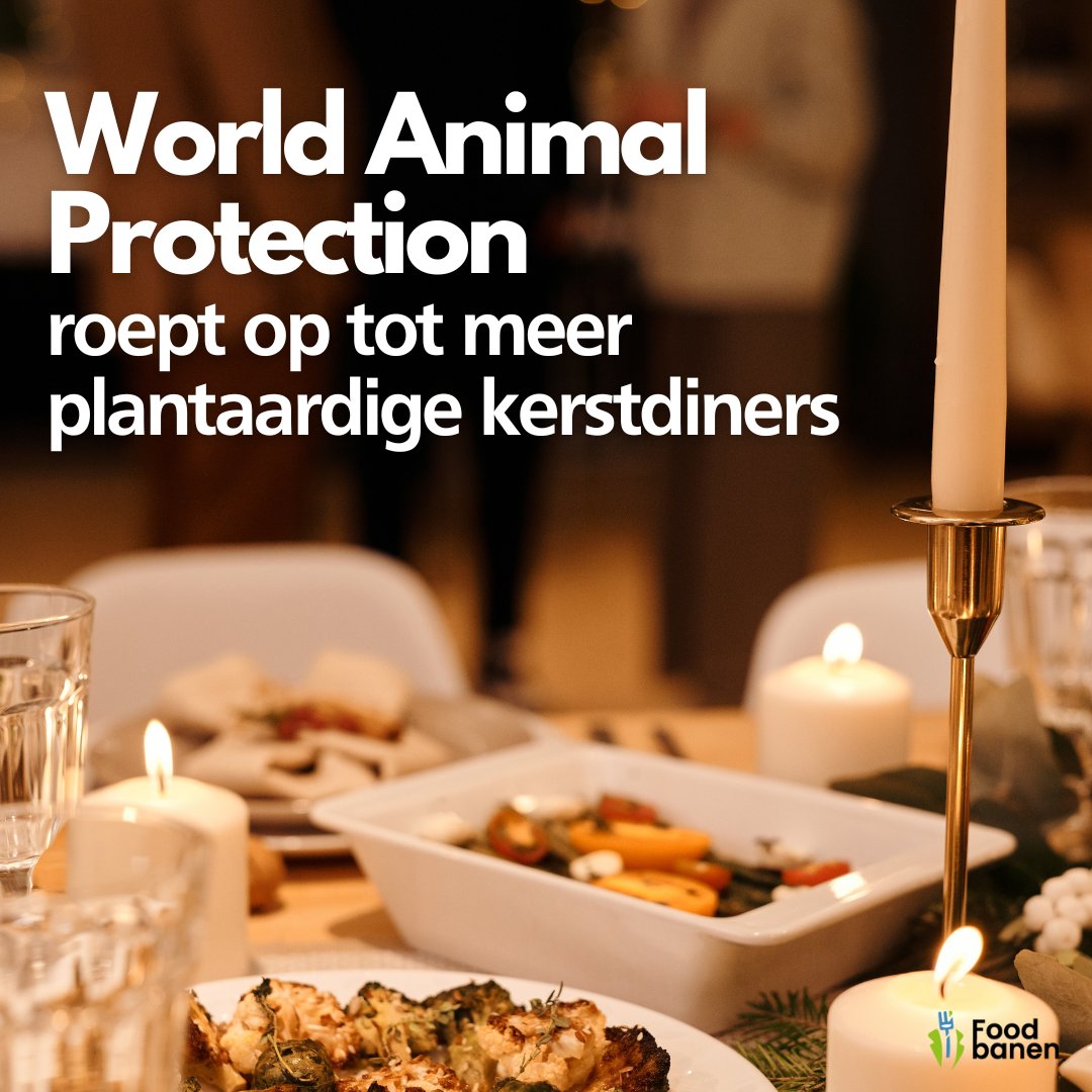 “Terwijl wij gezellig aan het kerstdiner zitten, brengen miljoenen dieren in Europa hun kerst door in veel te krappe kooien of megastallen, omdat wij graag vlees willen eten. Het is tijd voor verandering.” - Julia Bakker

Lees het hele artikel: ow.ly/CqKJ50MblGO