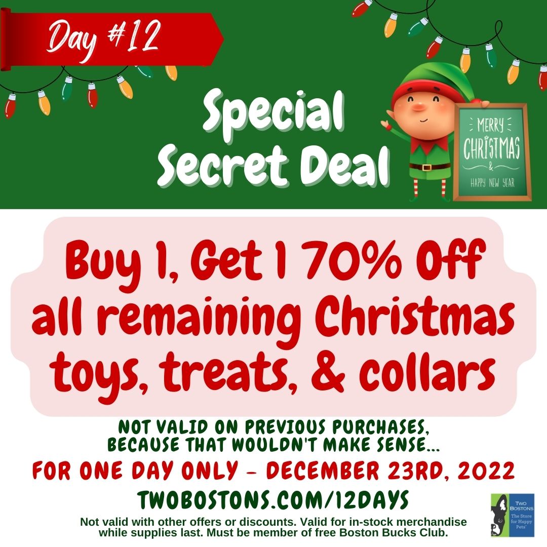 twobostons's tweet photo. 🐶 BOGO 70% Christmas Items - https://t.co/eSH7hQrWcm https://t.co/blqBSzXgE7