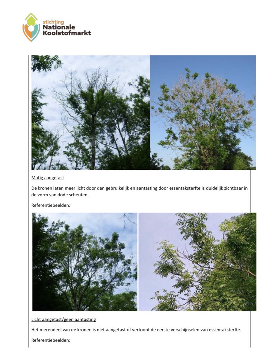 Ter inzage ligt de methodologie voor het projecttype Revitalisering essenbossen is een methodedocument voorbereid. Dit document wordt hierbij gepubliceerd voor een publieke inspraak, tot 23 januari, zie; 
nationaleco2markt.nl/wp-content/upl…