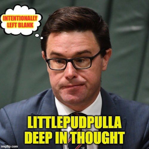 #2022Losers #DavidLittleproud took Nationals leadership. First decision of consequence? Rejects #VoiceToParliament, confirming his Party still owned by #BigMining. #Auspol