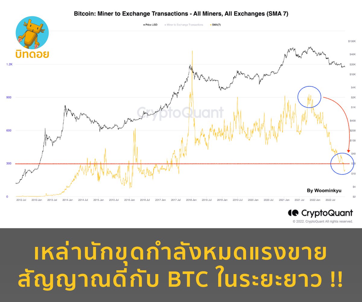 บิทดอย - Bitdroid tweet media
