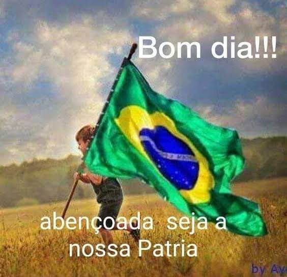 CarmignolliLara's tweet photo. Bom dia! 
💛🇧🇷💚 
#naosobearampa 
#Oladraonaomerepresenta
#foraBandidos https://t.co/VrQEo7PFo3