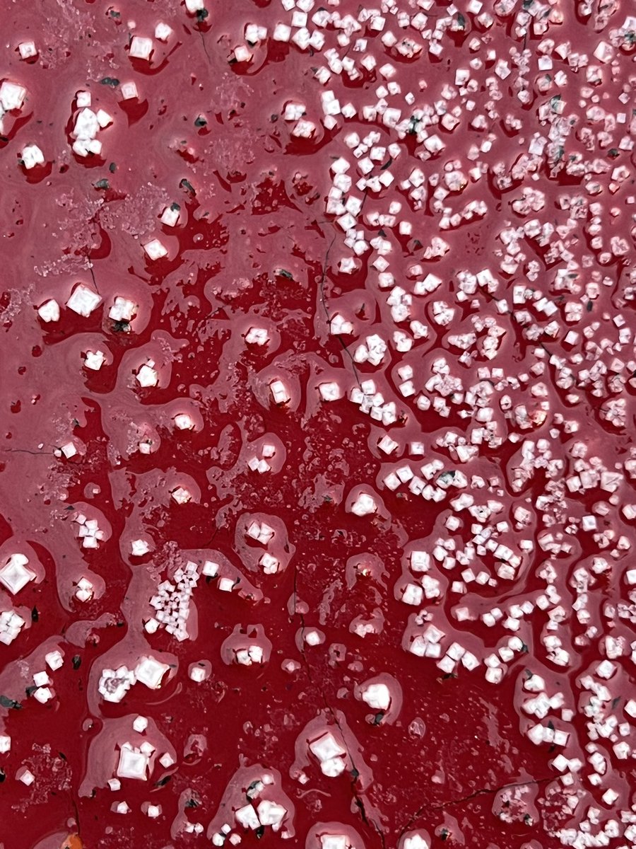 Ally Peccia (@asapeccia) on Twitter photo More sunrises and salt crystals on the deck of <a href="/TheJR/">JOIDES Resolution</a>! It’s looking like a white Christmas ❄️ More sunrises and salt crystals on the deck of <a href="/TheJR/">JOIDES Resolution</a>! It’s looking like a white Christmas ❄️