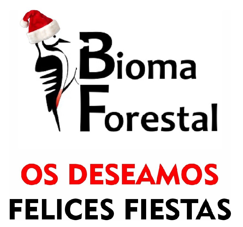 BiomaForestal (@BiomaForestal) on Twitter photo 2022-12-23 12:17:55