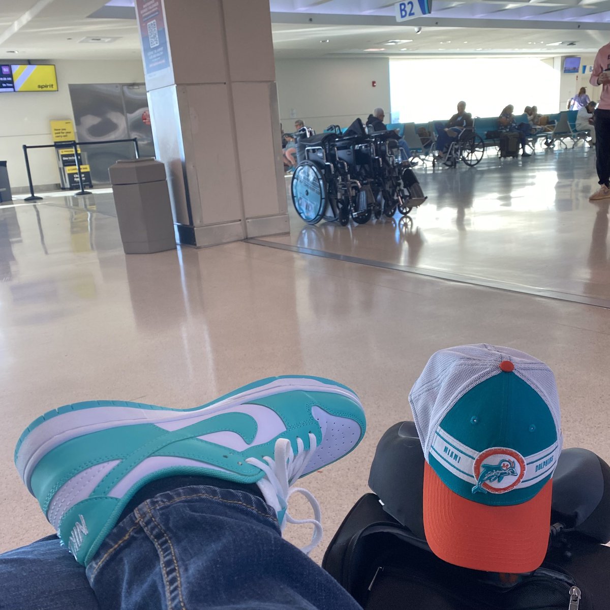 Fins Sammy tweet media