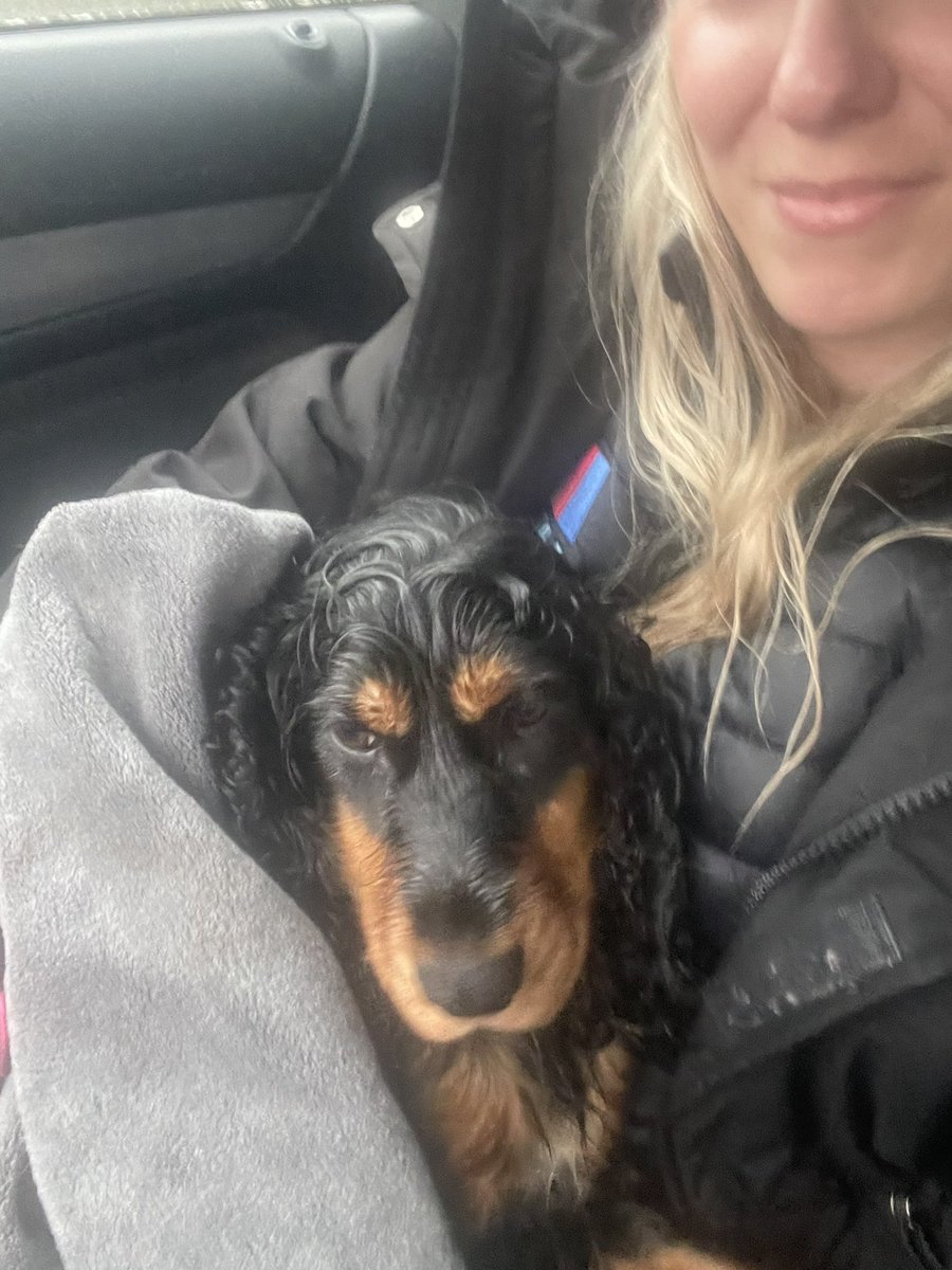 verityllxo's tweet photo. She’s home!!! Thank you everyone for helping!!! ❤️❤️❤️🙏🙏🙏 https://t.co/yEz3ICuCUh
