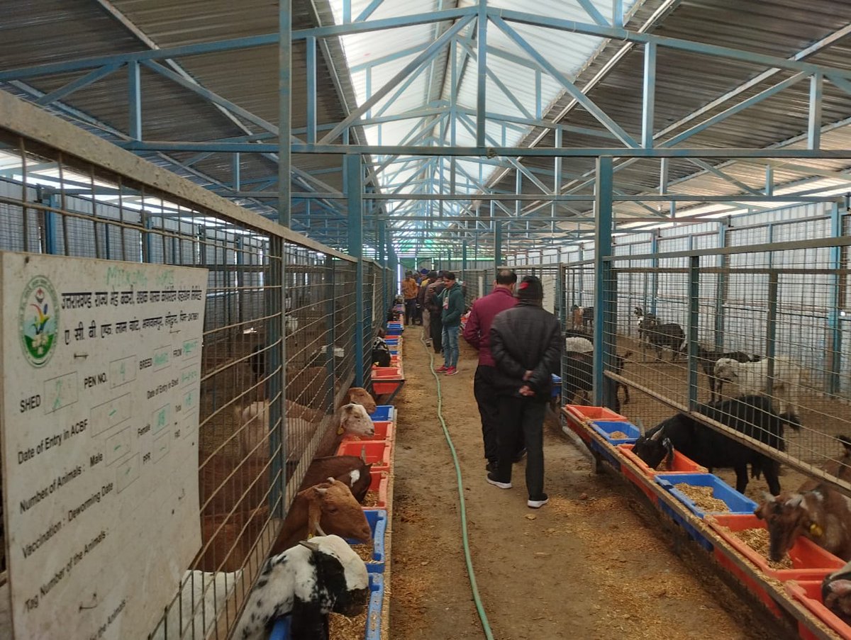 Fiubag_uscgf's tweet photo. Day 02 of goat farmers training at ACBF Lamgrant, Haridwar. Topics -modern goat farming, goat feeds and supplies, farm management and other.. @basava_ias @MdNcd @mdusgcf @Uttarakhandcoo1 @UswdbCeo @sbahugunauk @goat_himalayan #usgcf #ncdc https://t.co/VMxYyPNqt9