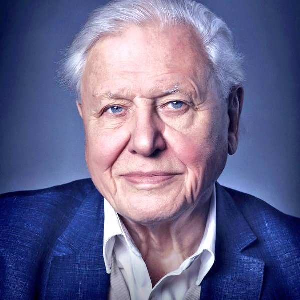 Los límites del crecimiento on Twitter "Esta persona es Sir David Attenborough, biólogo e