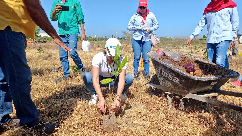 MalamboAlcaldia's tweet photo. #AEstaHora @MalamboAlcaldia a través de #ÁreaDeMedioAmbiente adelanta siembra de 782 #árboles en la #Ptar de #Malambo con el apoyo de #Furdecol, Empresas #Veolia, #PuntosVerdes y #Lito con el acompañamiento del grupo de carabineros #Mebar https://t.co/yVhcm1Ub4V