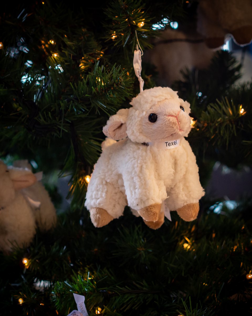 Hele fijne #feestdagen namens het team van VVV Texel!