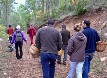 WildFood_PRIMA's tweet photo. Did you know that #mushrooms are probably the most popular non-wood forest product in #Spain? 🍄

The activity of picking mushrooms has been named #mycotourism and tries to connect the fungal discovery with gastronomy and fungal related tourism activities.

#WildFoodProject https://t.co/jpKeA1f5xg